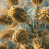 image from /images/latent-space/unlocking-the-power-of-seeds-in-stable-diffusion-a.png