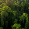image from /images/topics/camera-positions/imagen-v3/imagen-v3-camera-positions-aerial-view-a.png