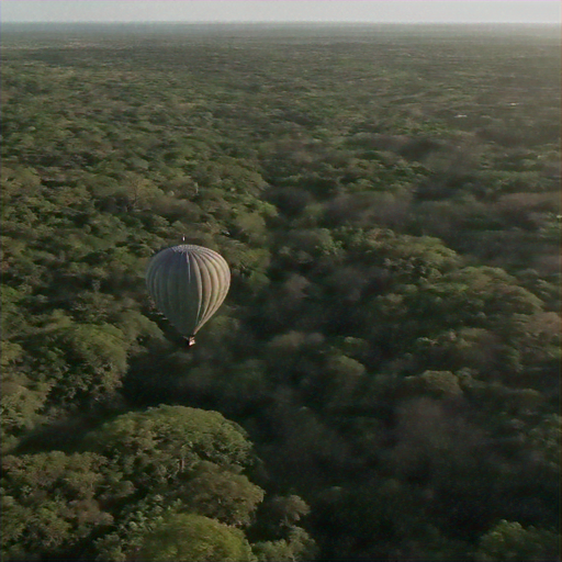 Tranquility Above the Canopy