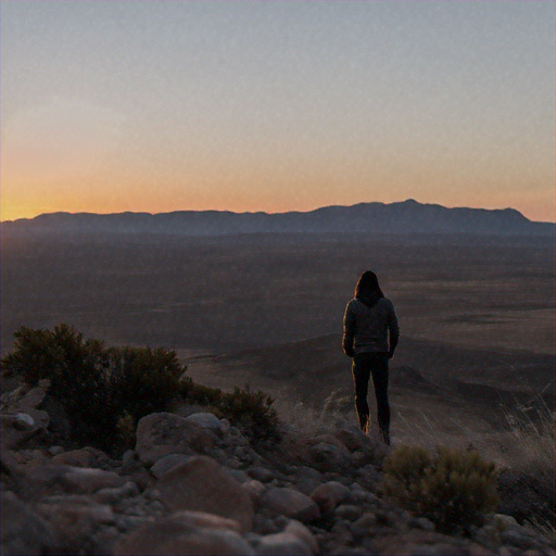 A Moment of Solitude at Sunrise